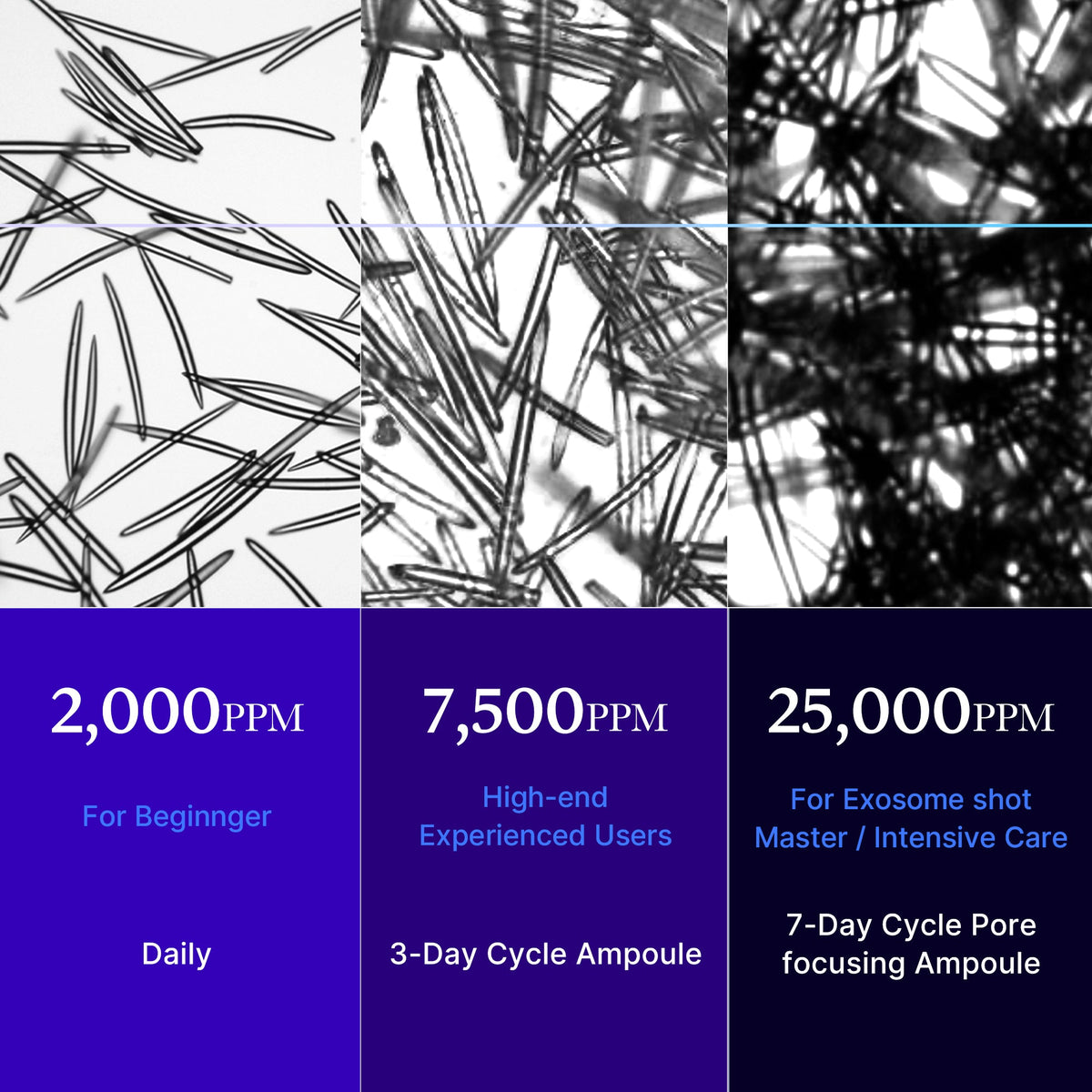 zero-exosome-shot-o0 25000_05.jpg